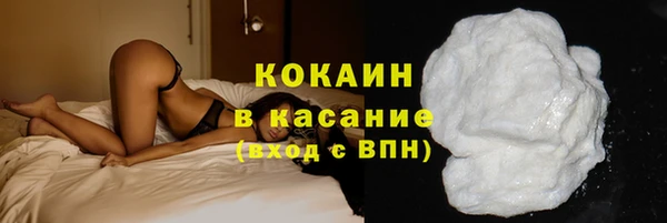 дживик Аркадак