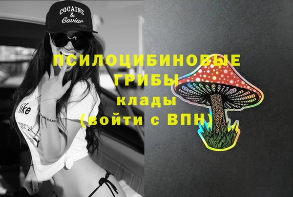 тгк Арсеньев