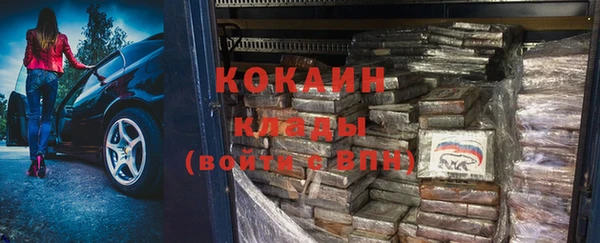 дживик Аркадак