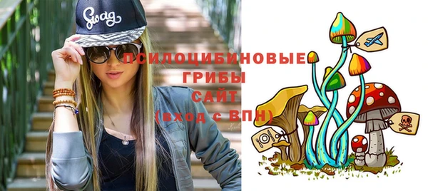 тгк Арсеньев