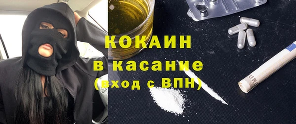 сатива Армянск